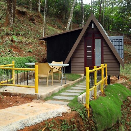 Garden Of Eden-Thottam Munnar-Hiking And Camping Anachal エクステリア 写真