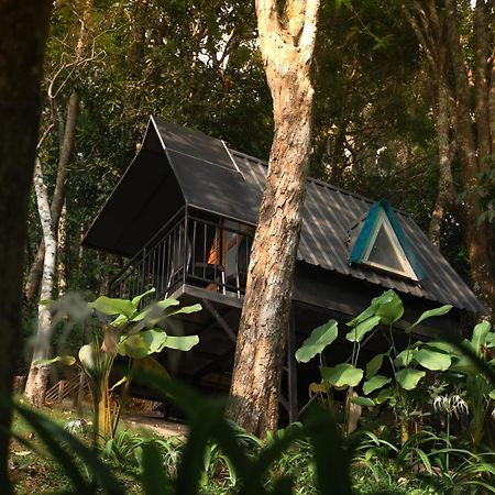 Garden Of Eden-Thottam Munnar-Hiking And Camping Anachal エクステリア 写真