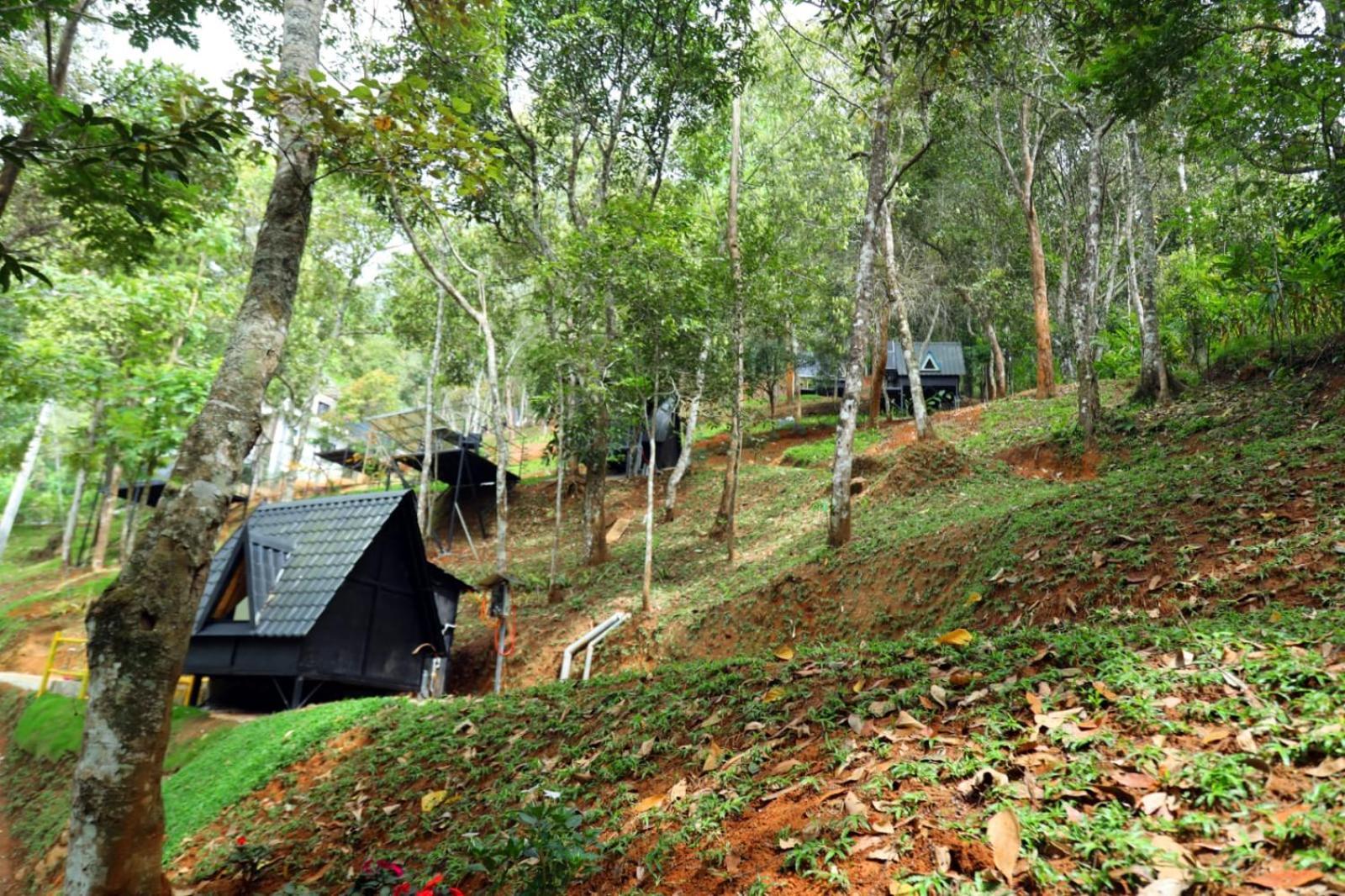 Garden Of Eden-Thottam Munnar-Hiking And Camping Anachal エクステリア 写真