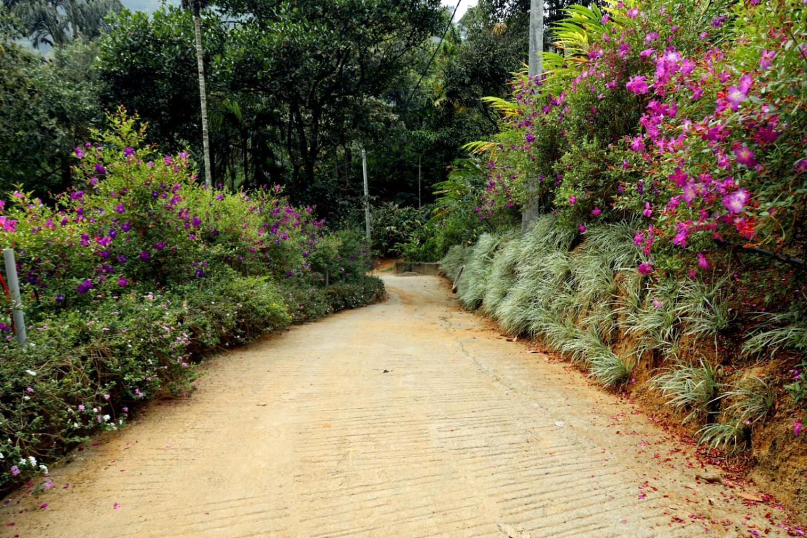 Garden Of Eden-Thottam Munnar-Hiking And Camping Anachal エクステリア 写真