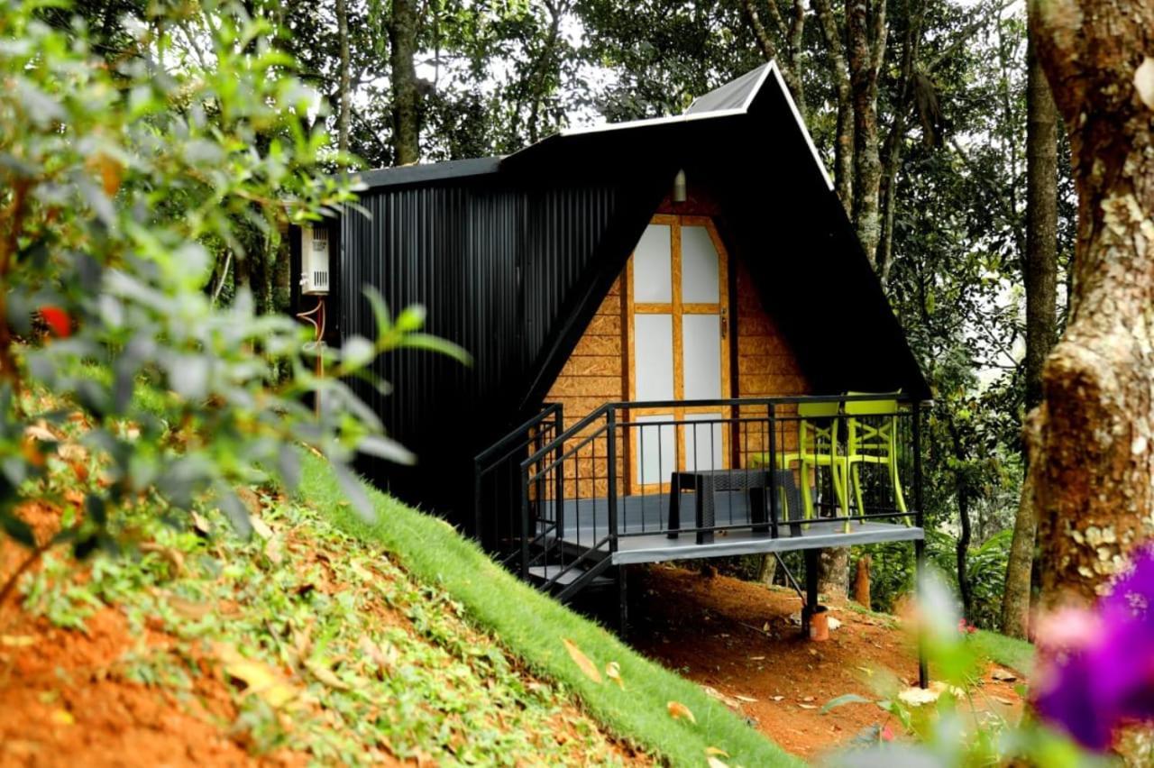 Garden Of Eden-Thottam Munnar-Hiking And Camping Anachal エクステリア 写真