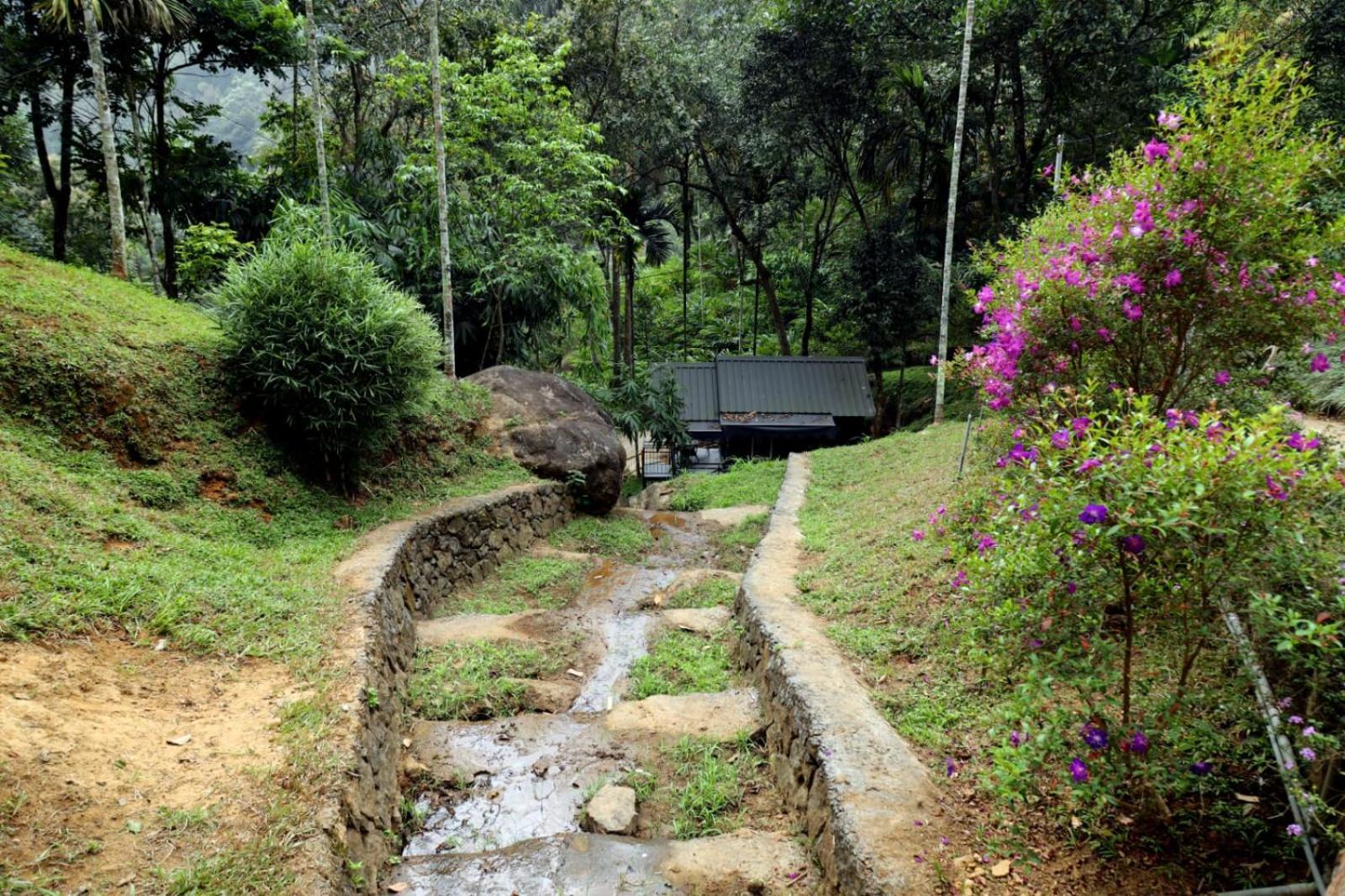 Garden Of Eden-Thottam Munnar-Hiking And Camping Anachal エクステリア 写真