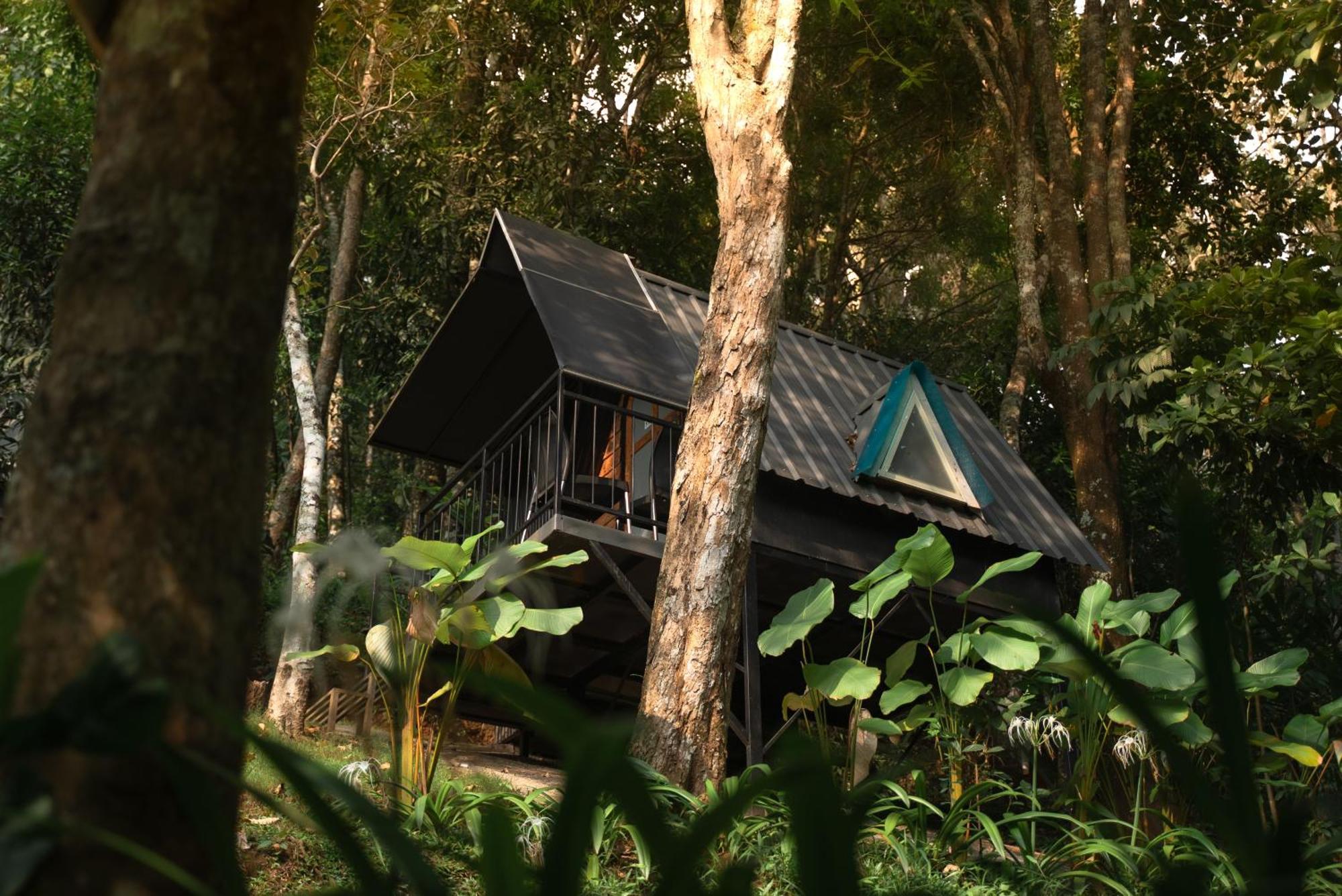 Garden Of Eden-Thottam Munnar-Hiking And Camping Anachal エクステリア 写真