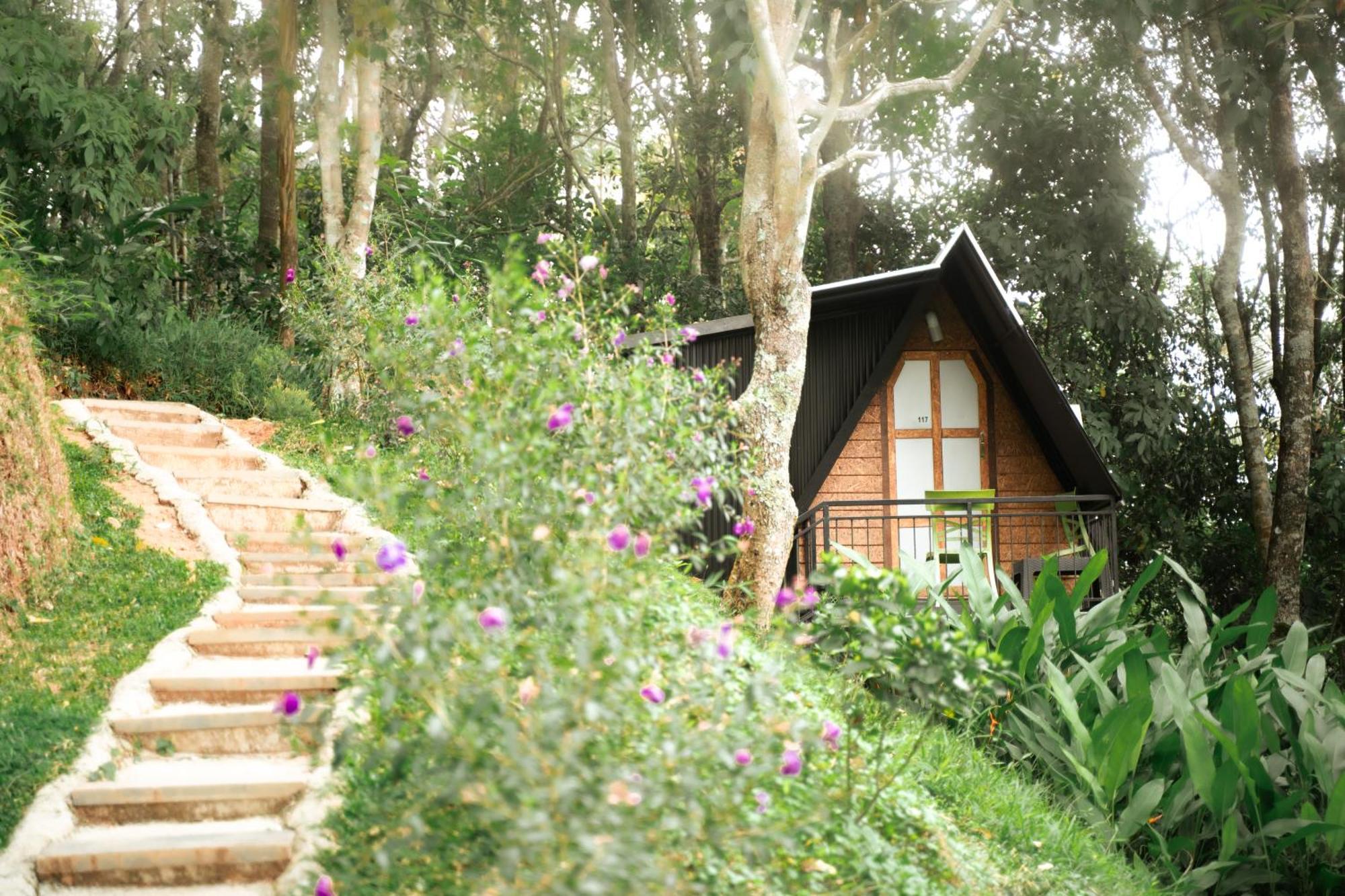 Garden Of Eden-Thottam Munnar-Hiking And Camping Anachal エクステリア 写真