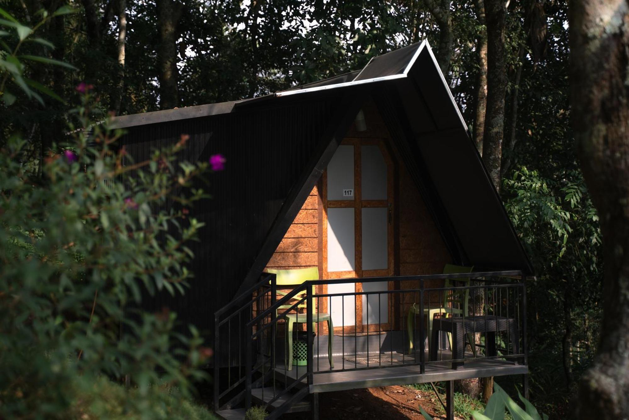 Garden Of Eden-Thottam Munnar-Hiking And Camping Anachal エクステリア 写真