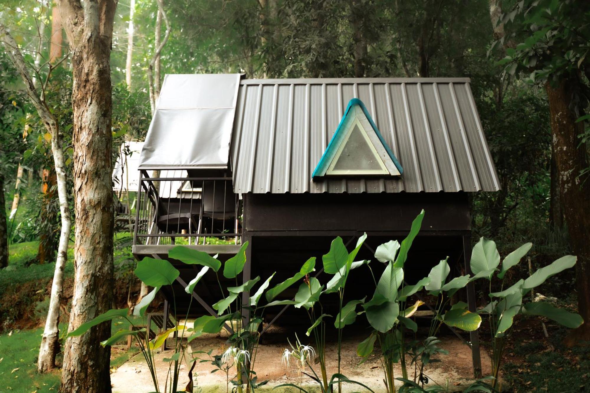 Garden Of Eden-Thottam Munnar-Hiking And Camping Anachal エクステリア 写真